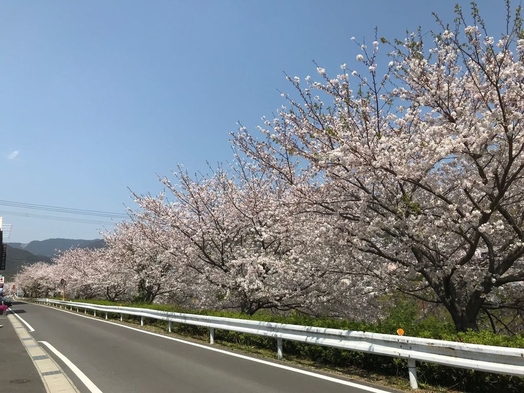 4月限定！格安プラン【和洋選べる朝食付き】